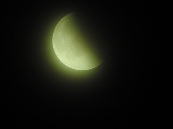 DSCN7407