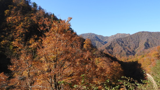 DSCN3913