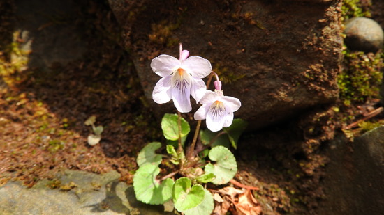 DSCN9086
