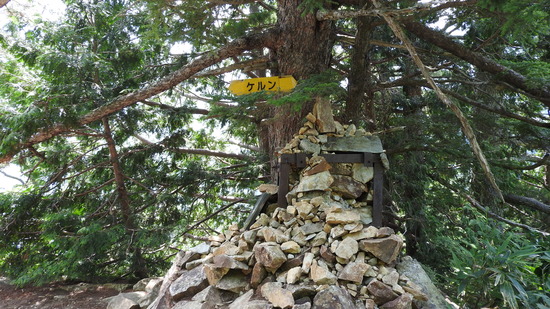 DSCN1461