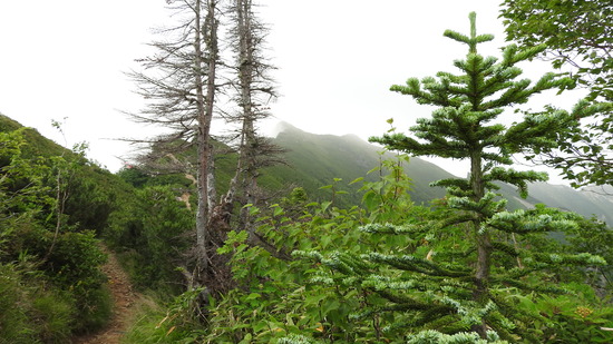 DSCN0881