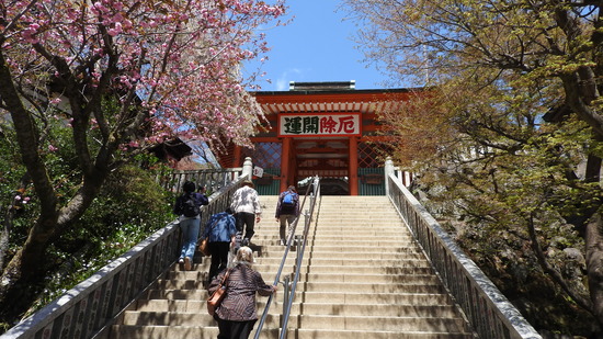 DSCN2389