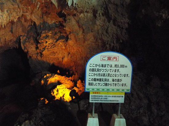 DSCF7597