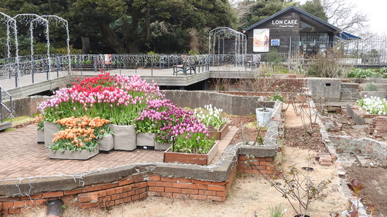 DSCN7983