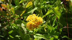 DSCN0171