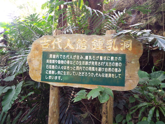 DSCF7564
