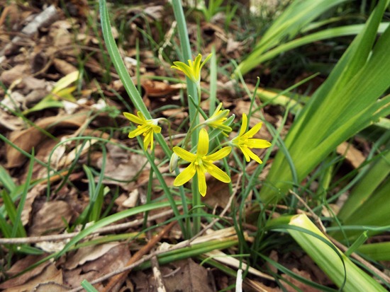 DSCF1709 (2)