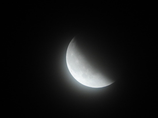 DSCN7381
