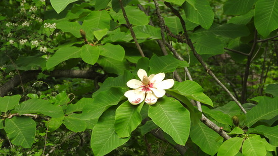 DSCN2422