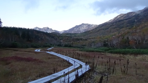 DSC00660