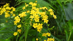 DSCN1480