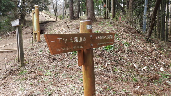 DSCN9386