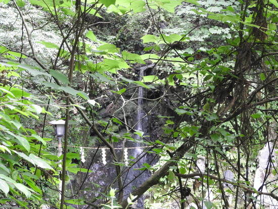 DSCN6320
