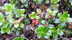 DSCN0899