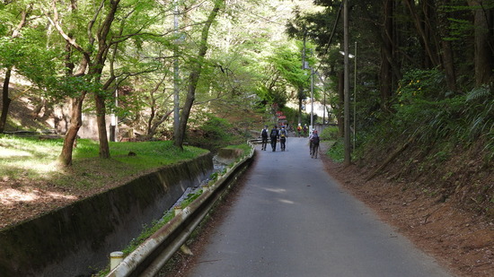 DSCN2747