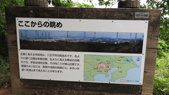 DSCN2272
