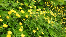 DSCN1541