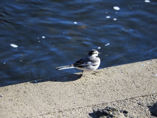 DSCN8234