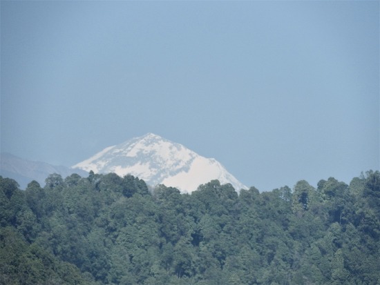 DSCN4740-1