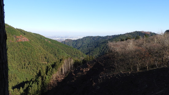 DSCN5140