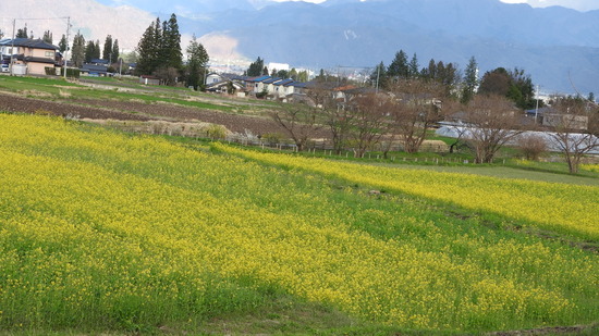 DSCN3627