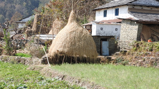 DSCN4830