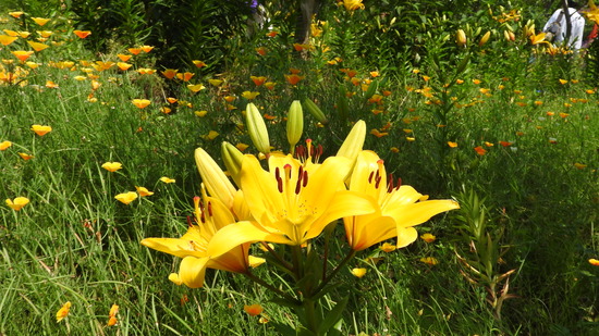 DSCN4944
