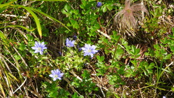 DSCN1259