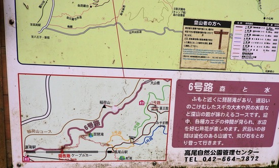 DSCN6284-1