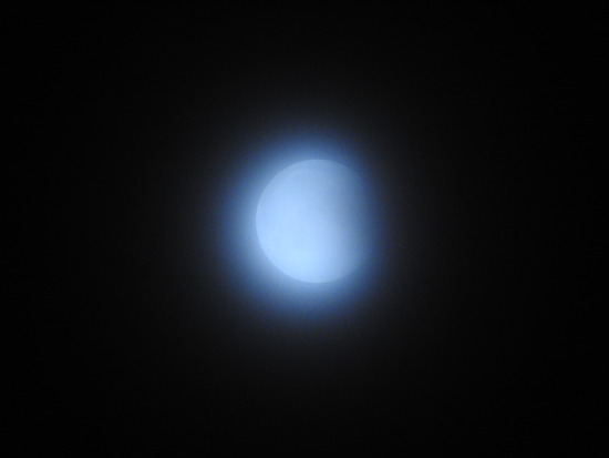 DSCN7423