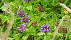 DSCN0859