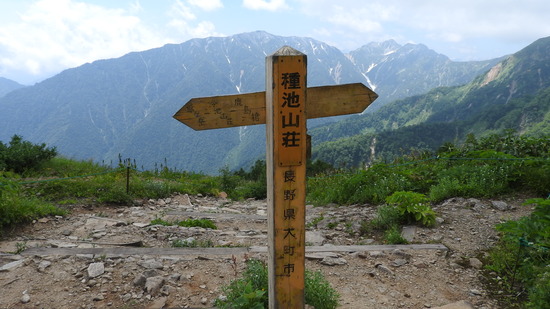 DSCN1331