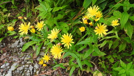 DSCN1457