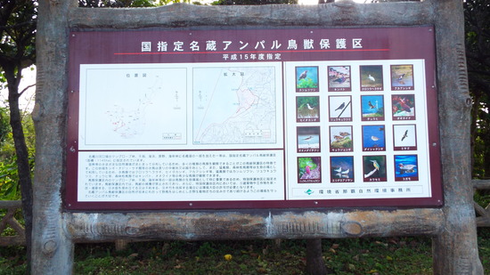 DSCF7287