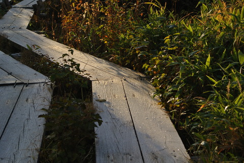 DSC_3486