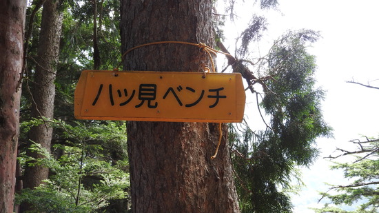 DSCN1495