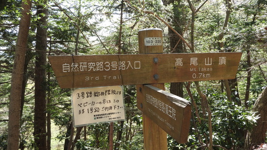 DSCN2629