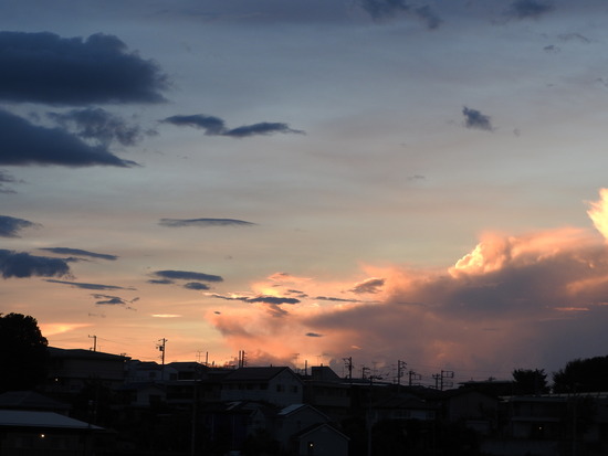 DSCN5378
