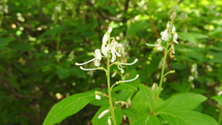 DSCN1468