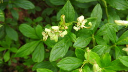 DSCN0907