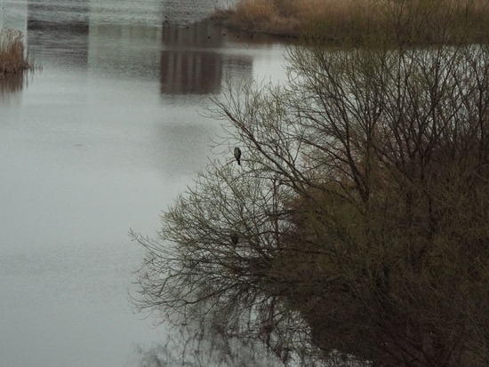 DSCF0765
