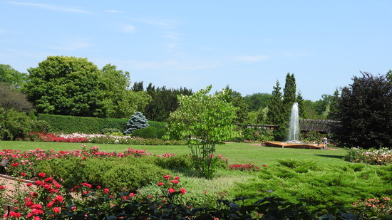 DSCN0577
