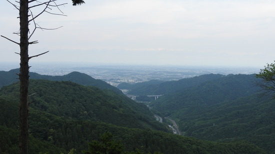 DSCN2557