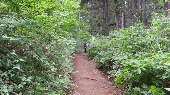 DSCN2504