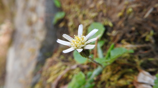 DSCN2543