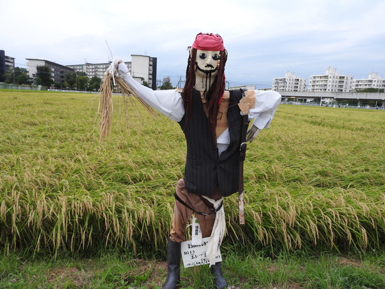 DSCN1090