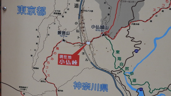 DSCN2534