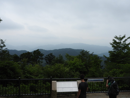 DSCN6491