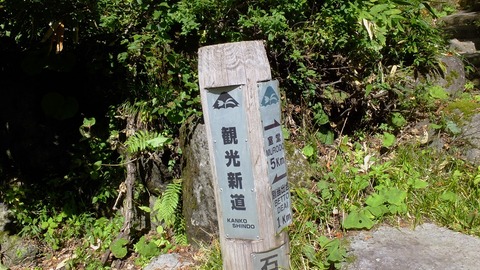 DSCF3487ss