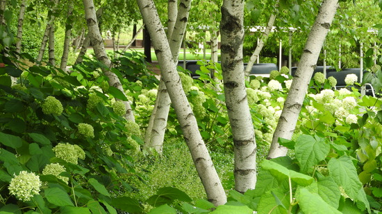 DSCN0440